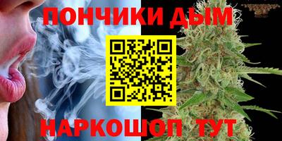 трава Бийск