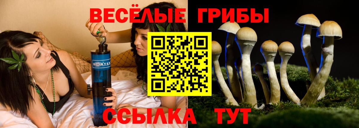 Галлюциногенные грибы GOLDEN TEACHER  Вход с VPN  Вятские Поляны 